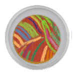 pastel matisse