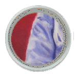 art bohemienne peinture